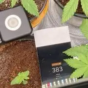 🥊🥧🍧🐐☕️🐓🔩🍌