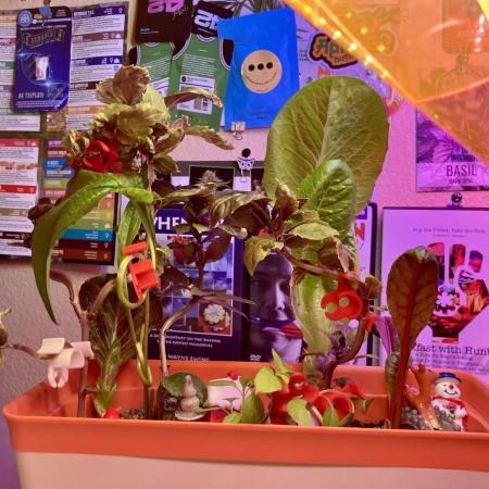 🎃🧛‍♂️😈💀🎃