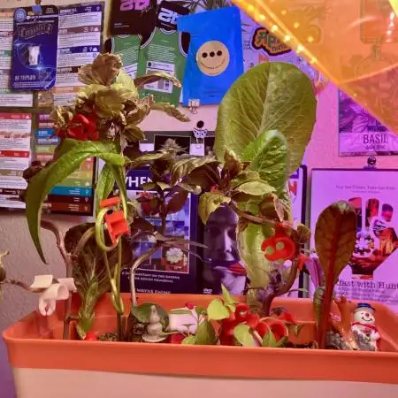 🎃🧛‍♂️😈💀🎃