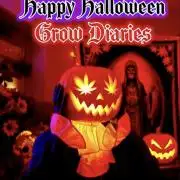 🎃🦃🎄HalloThanksMasNewYear🎃🦃🎄