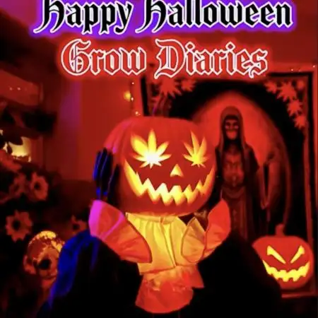 🎃🦃🎄HalloThanksMasNewYear🎃🦃🎄