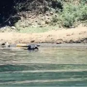 Montel tragic rise fall of Jar Jar Binks