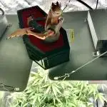 🎃🧛‍♂️😈💀🎃