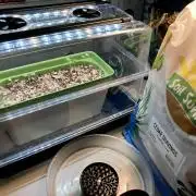 🔥📦RF3 AUTO by Fast Buds