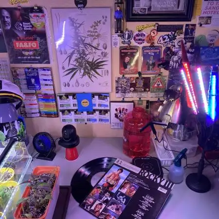 🥊🐐☕️🦍🍪🦍⛽️