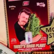 Montel tragic rise fall of Jar Jar Binks