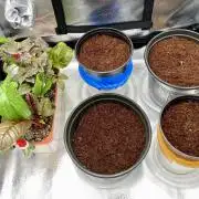 🥊🥧🍧🐐☕️🐓🔩🍌