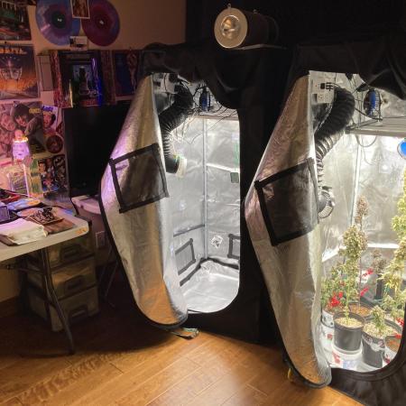 🎃🧛‍♂️😈💀🎃 '25