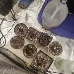 Sativa delight