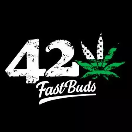 FastBuds APRICOT auto 