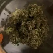 Grapefruit auto/wedding cheesecake auto