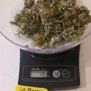 Fat Bastard Auto