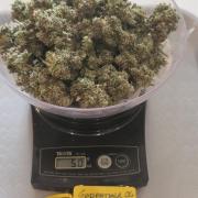 Godfather OG-MSNL