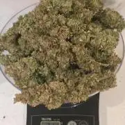 NYC Diesel (was Hey Abby)