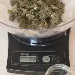 White LSD Auto