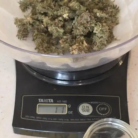 White LSD Auto