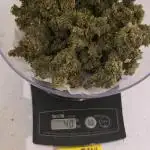 Purple Hulk Auto