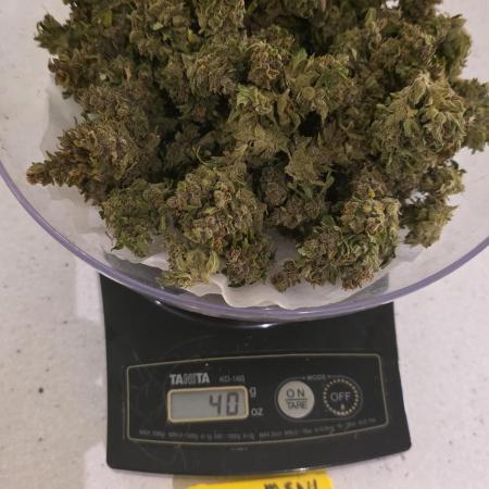 Purple Hulk Auto