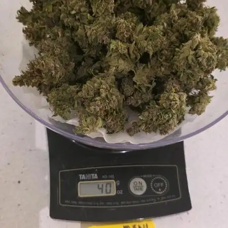 Purple Hulk Auto