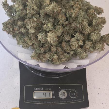 Straw-Lectric Lemonade Strng Seeds