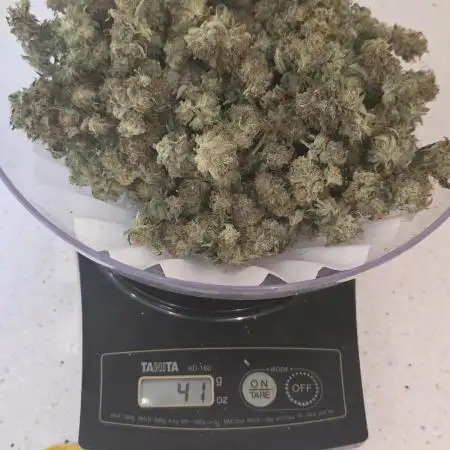 Straw-Lectric Lemonade Strng Seeds