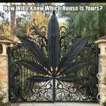 Cannabis links info and memes