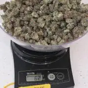 Straw-Trop Cherry Strng Seeds