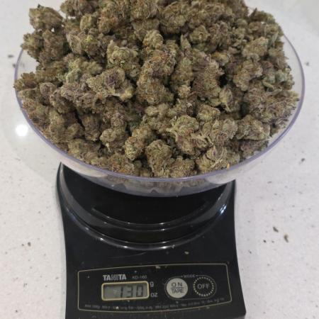 🏆Strawberry Cadillac-Strng Seeds