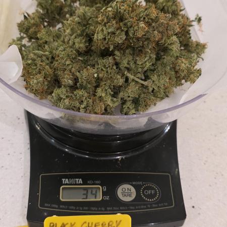 Black Cherry Punch auto -Pyramid Seeds