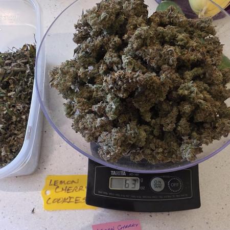 Lemon Cherry Cookies 🍋🍒🍪