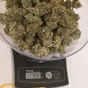 Auto Wappa