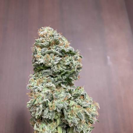 MicroGrow