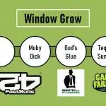 4 Plants, 1 Window