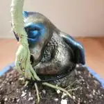 Bonsai Project Take II [G5]