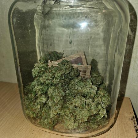 Bonnie - Auto Black Opium 1 [G5]