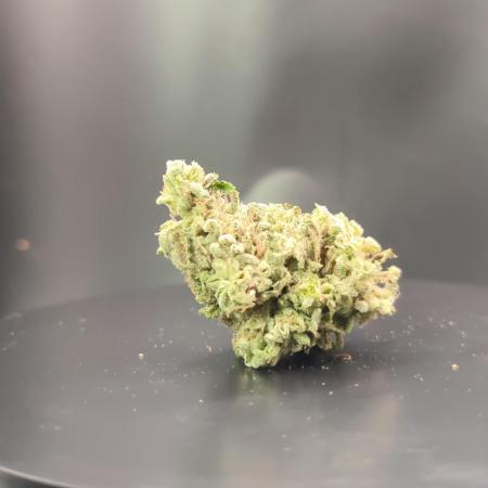 Big Amnesia Haze autoflower Hy-seeds