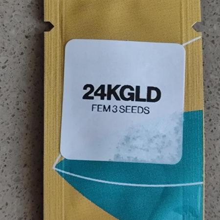 24K Gold Kush 
