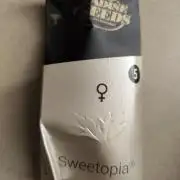 Sweetopia 🍭 paradise seeds