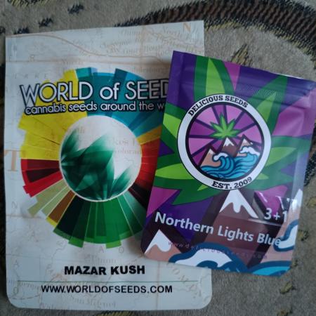 Northern lights blue & Mazar kush
