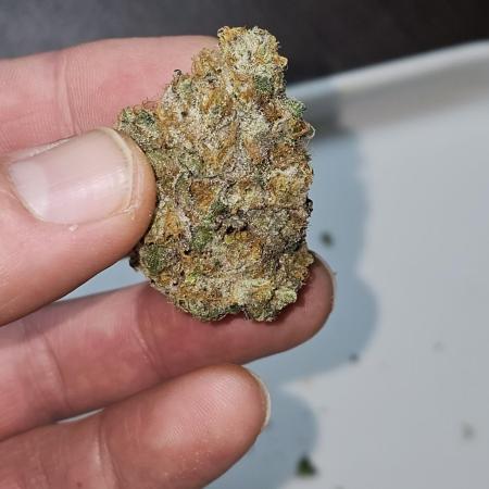 Slightly Humboldt