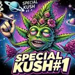 Special Kush #1 Diary of the Month