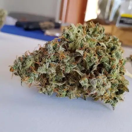 Gorilla Cookies
