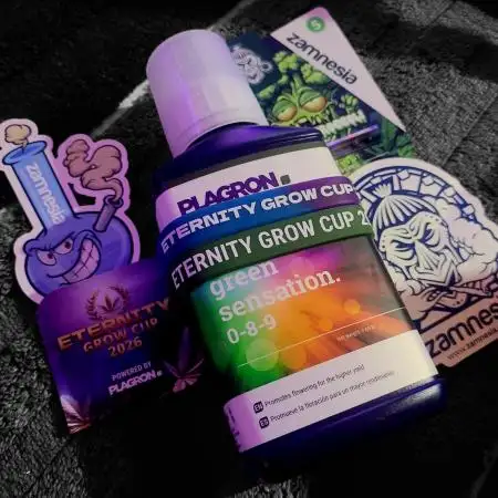 Sticky Broccolli-Eternity Grow Cup 2026