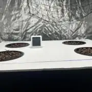 GUSH MINTS - EXPERT SEEDS * LOW PSI AERO