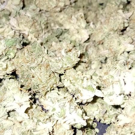 OG Kush Barneys 🌞