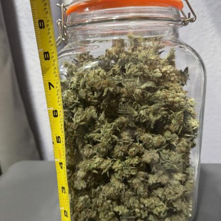 Acapulco Gold
