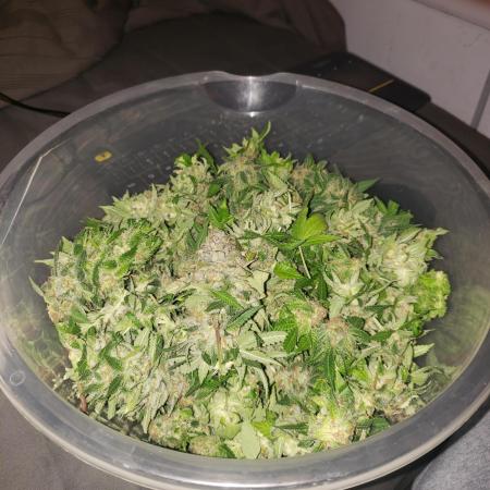 peanut butter herijuana