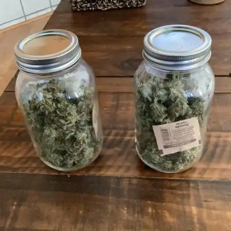 Grow 3 Afghan Kush x Skunk #1 Photo