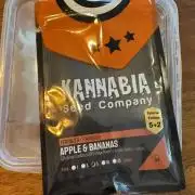 Tropical duo 🏝️