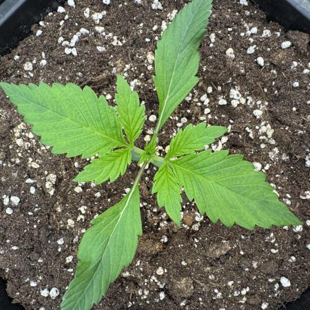 Bottle Bottoms ♻️